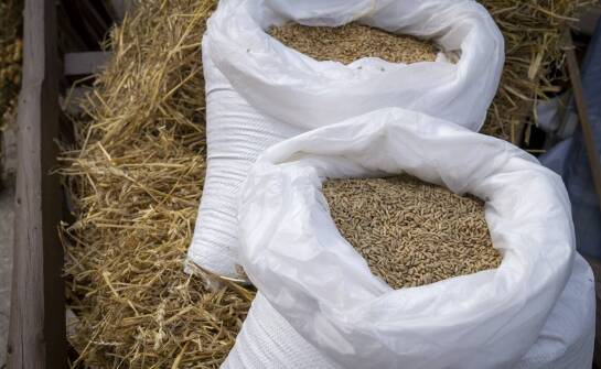 Różnorodność paszowych słodzików: jak wybrać najlepszy dla swojego stada?