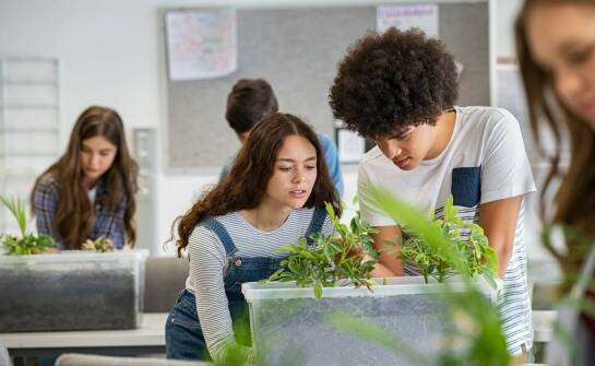 Wpływ dydaktycznych pomocy na rozwijanie praktycznych umiejętności w dziedzinie ekologii