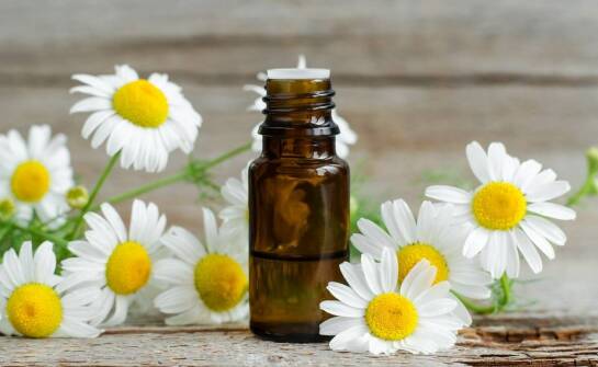 Eteryczne olejki: kluczowe składniki w procesie tworzenia perfum