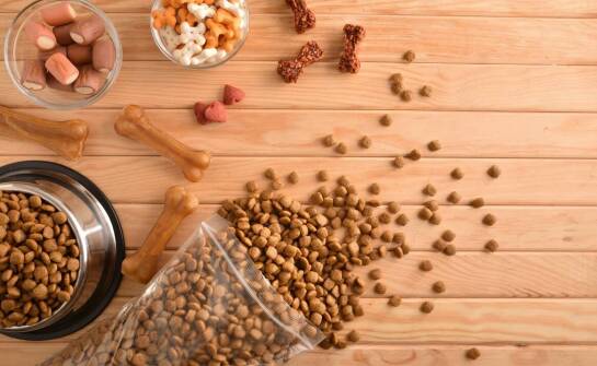 Czy różnorodność składników w suchej karmie dla psa ma znaczenie?