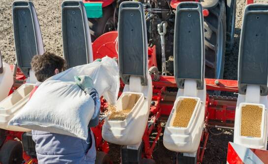 Efektywność pracy z szkółkarską sadzarką w gospodarstwie rolnym