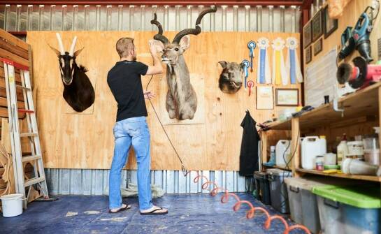 Proces preparowania zwierząt: jak zapewnić trwałość i naturalny wygląd?