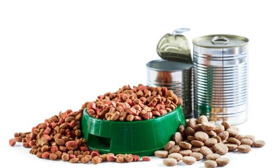 Które minerały w karmie Naturina są niezbędne dla zdrowia kości psów?