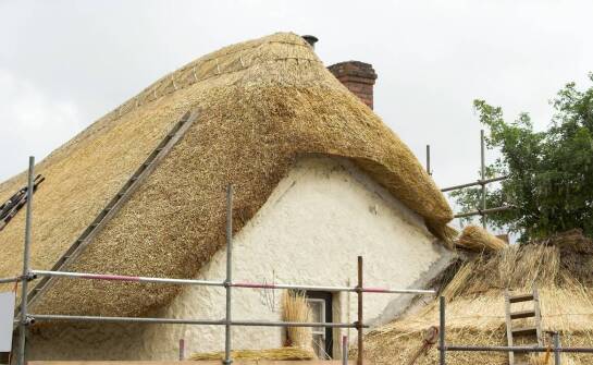 Ekologiczne dachy z trzciny: co warto wiedzieć o ich trwałości i estetyce?