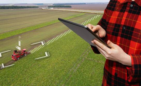 Zastosowanie innowacyjnych technologii w uprawie kukurydzy i ich wpływ na plony