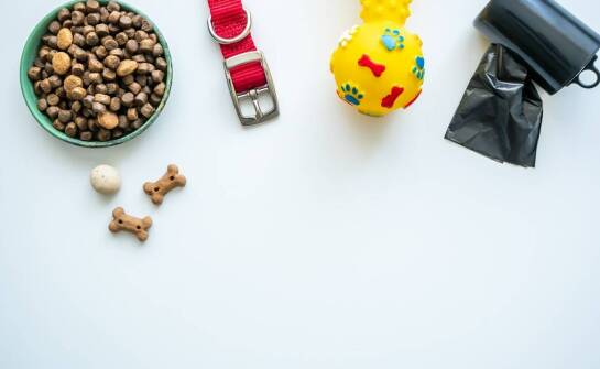 Korzyści zdrowotne płynące z wyboru karmy Naturina dla psa z wrażliwym układem pokarmowym