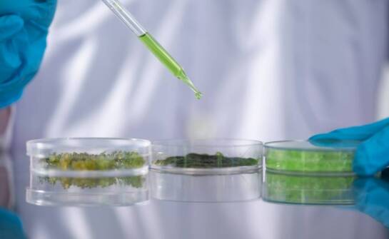 Biologiczne i chemiczne metody oczyszczania: porównanie efektywności.