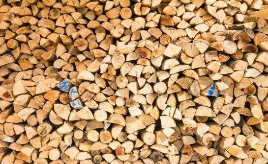 Znaczenie legalnych źródeł drewna dla wartości energetycznej drewna