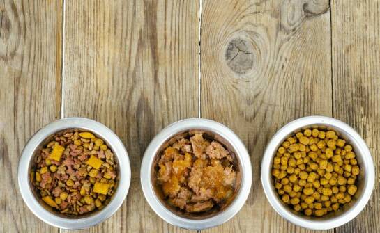 Jak odpowiednia karma sucha może wspierać zdrowe stawy u psów?