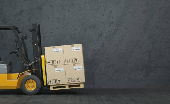 Wybór odpowiedniego paleciaka do specyficznych zadań.