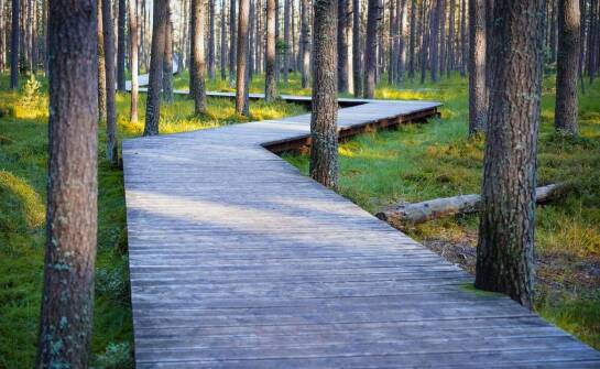 Relaksacyjne i medytacyjne trasy dostępne dla gości w hotelu