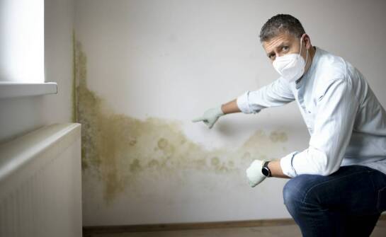 Wpływ wilgoci na zdrowie mieszkańców – jak zapobiegać temu?