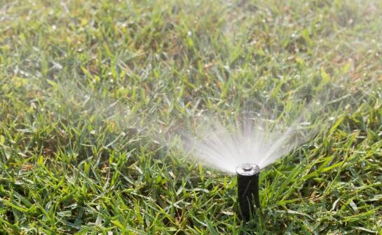 Wpływ automatycznego podlewania na estetykę trawnika