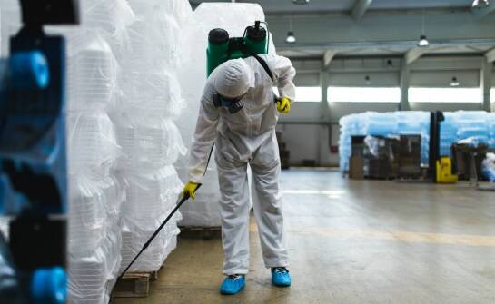 Zwalczanie insektów w magazynach – jakie najlepsze są praktyki?