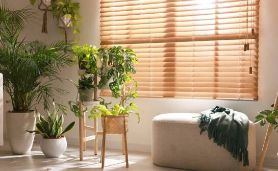 Dlaczego warto inwestować w egzotyczne rośliny do domu jako element zrównoważonego stylu życia?