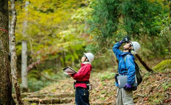 Nadzór nad przyrodą: klucz do zgodności inwestycji z przepisami