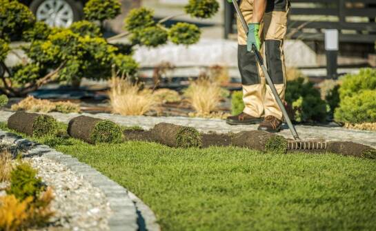 Profesjonalne podejście do zakładania trawników w prywatnych ogrodach
