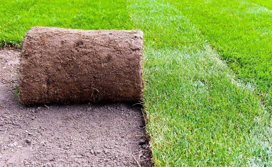 Jak profesjonalne techniczne wsparcie wpływa na sukces instalacji trawnika z rolki?