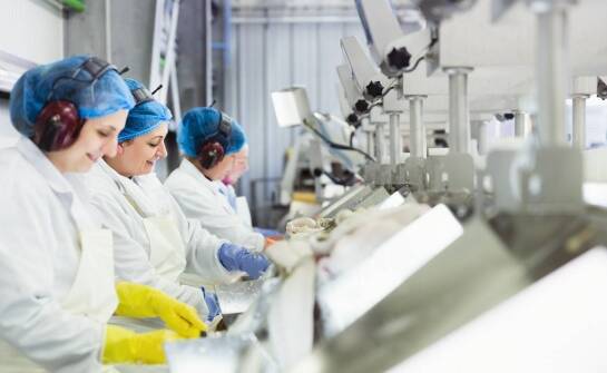 Rola nierdzewnych blach w zwiększaniu efektywności produkcji spożywczej