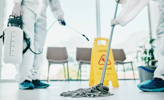 Ekologiczne podejście do dezynsekcji: korzyści dla środowiska i dla mieszkańców