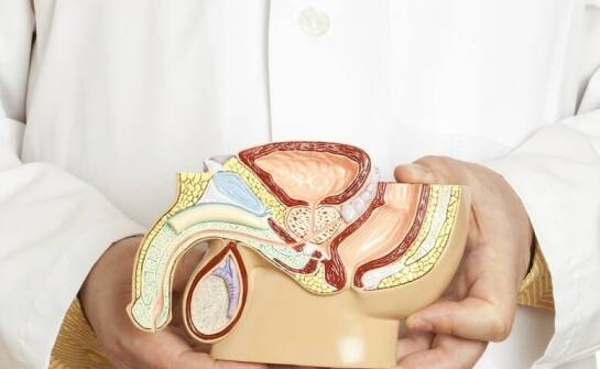 Diagnostyka chorób narządów płciowych - rola urologa