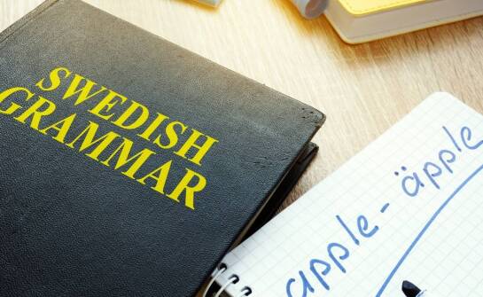 Tłumacz przysięgły a tłumaczenia związane z edukacją – jak wygląda ten proces?