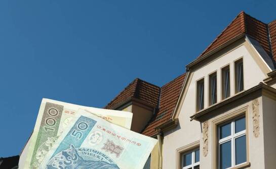 Kantor w centrum: co warto wiedzieć o trendach aktualnych walutowych?