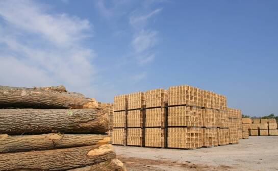 Jakie są najczęstsze pytania dotyczące kosztów związanych z trocinami?