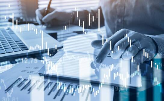 Wpływ zmienności kursowej euro na wyniki finansowe inwestycji.
