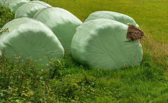 Zastosowanie kiszonkarskiej folii w rolnictwie – co warto wiedzieć?