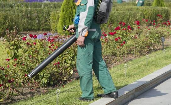 Utrzymanie zieleni: jak profesjonaliści dbają o publiczną przestrzeń?