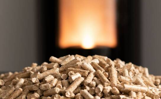 Dlaczego pellet z łuski słonecznika jest wyborem przyszłości?