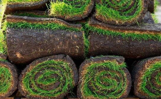 Dlaczego trawy w rolkach są idealne na autostrady i ich pobocza?