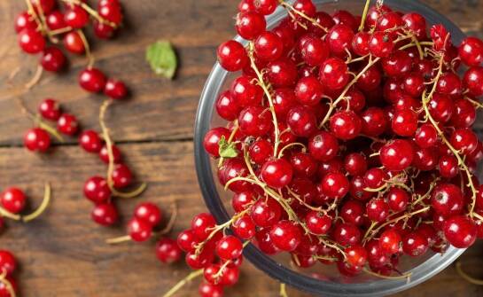 Antyoksydacyjne właściwości pestek porzeczki – co warto wiedzieć?