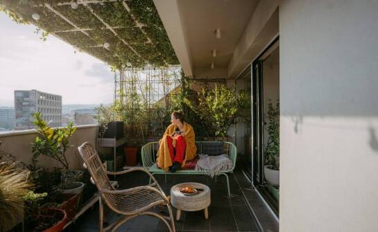 Jednoroczne pnącza: jak z ich pomocą stworzyć zielony azyl w domu