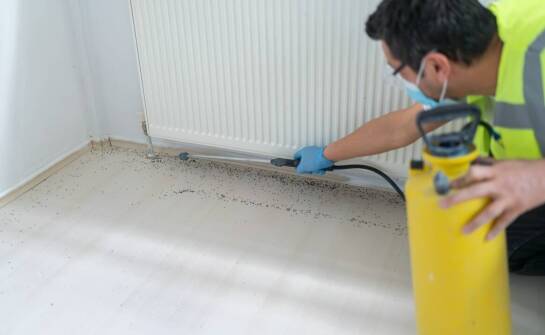 Dlaczego profesjonalna deratyzacja jest kluczowa w zarządzaniu nieruchomościami?