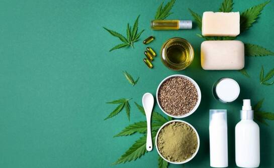 Produkty konopne dla zwierząt – jak mogą wspierać zdrowie zwierząt?