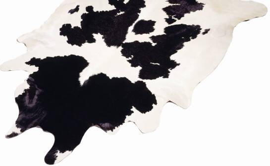 Zalety dekoracyjnych kozich skór w nowoczesnych aranżacjach