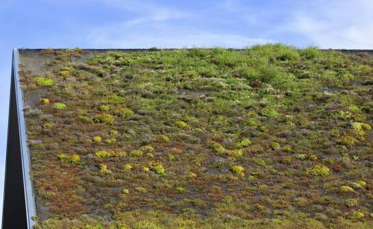 Jakie są zalety stosowania wegetacyjnych mat w systemach dachowych?