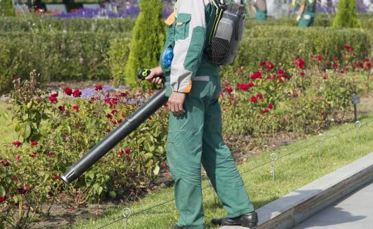 Jak w walce ze szkodnikami mogą pomóc usługi ogrodnicze we Wrocławiu?