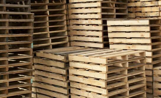 Welche Paletten bieten polnische Holzpalettenhersteller an? Erläutere Einwegmodelle, Industriemodelle, chemische CP-Modelle.