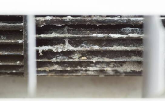 Effektivität von Chlordioxid bei der Entfernung von Biofilm aus Wassersystemen