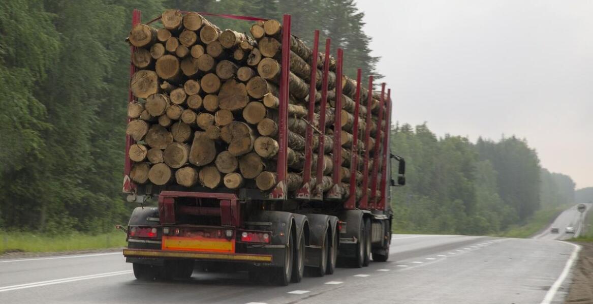Transport drewna – co warto wiedzieć o logistyce dostaw?