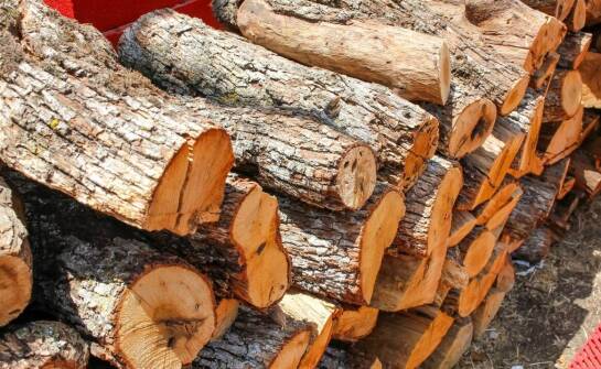 Drewno opałowe a ekologia – jak świadomie wybierać?
