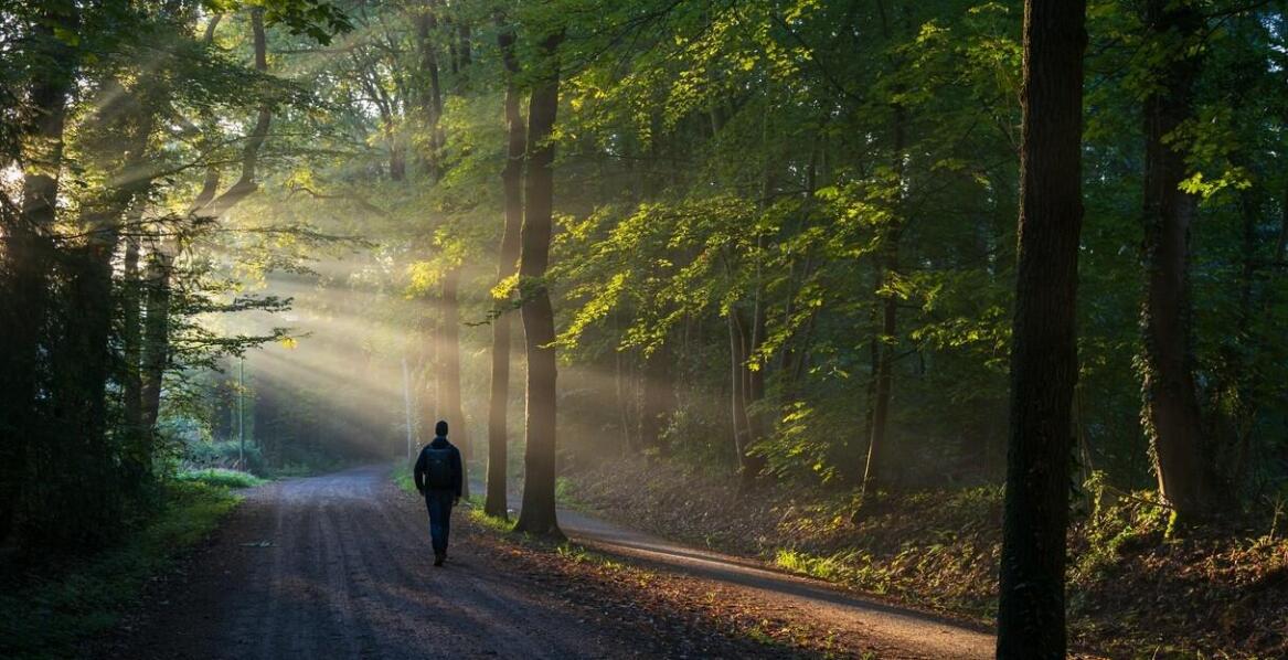 Proces adaptacji do życia bez uzależnień w otoczeniu przyrody