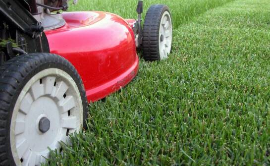 Innowacje i nowoczesne technologie w codziennym użytkowaniu kosiarek Vari