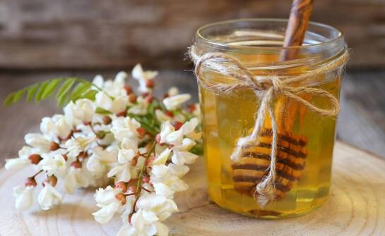 Jakie korzyści zdrowotne niesie ze sobą miód z Puszczy Białowieskiej?