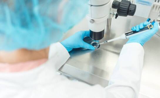 Czynniki wzrostu a procesy naprawcze w organizmie