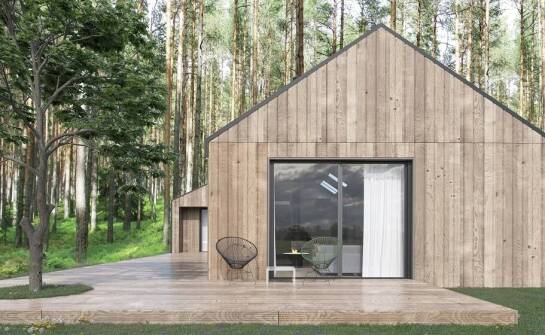 Rola architektonicznych detali w nowoczesnym domu położonym w lesie