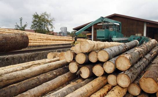 Wpływ cyklonów na zrównoważony rozwój w przemyśle drzewnym